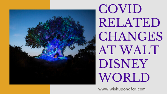 COVID Related Changes at Walt Disney World in 2020